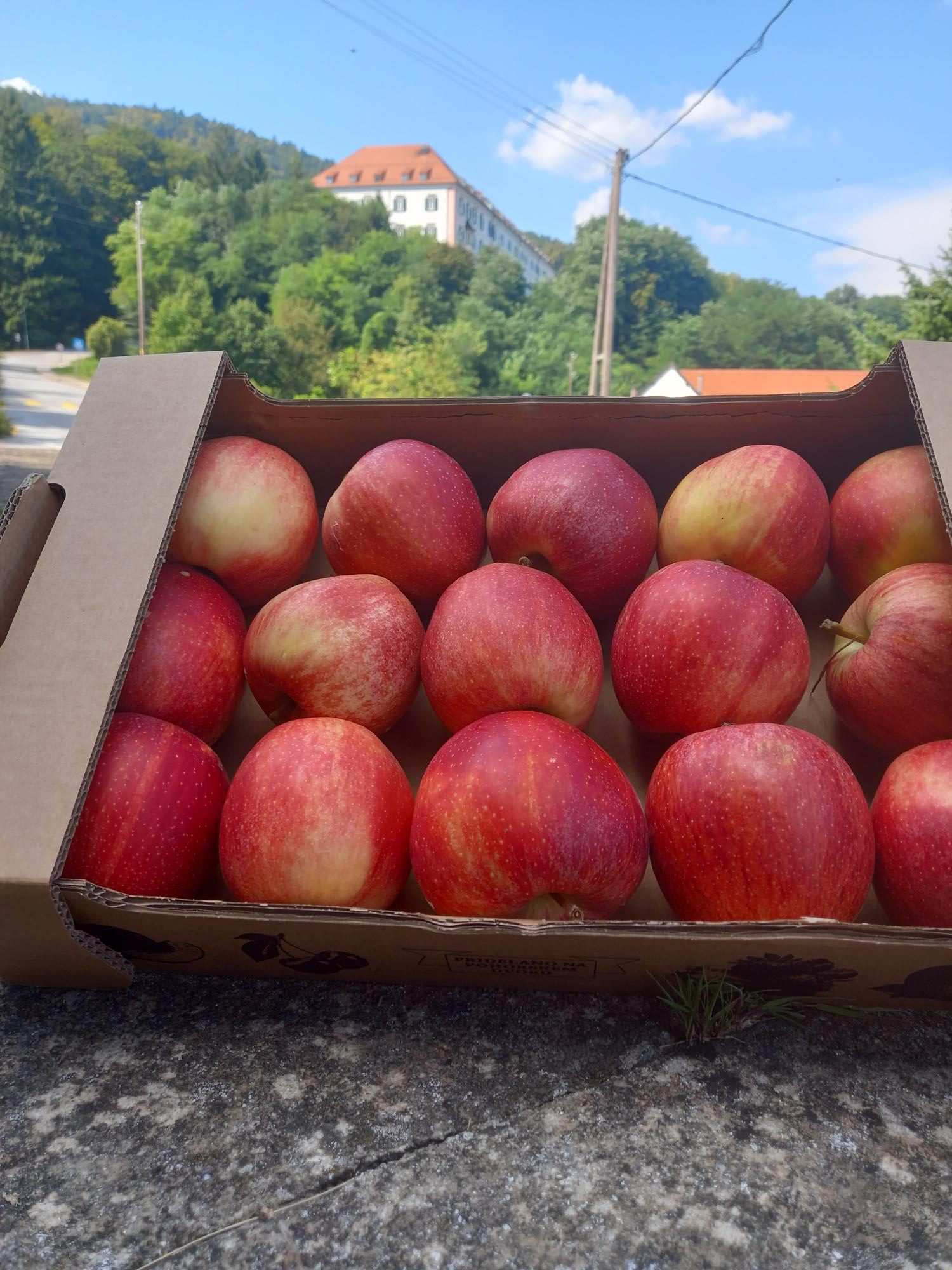 Read more about the article Sveža jabolka